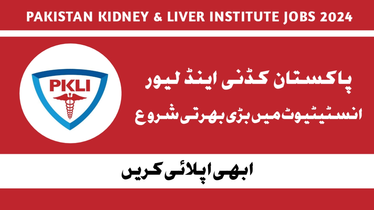 PKLI Latest Jobs